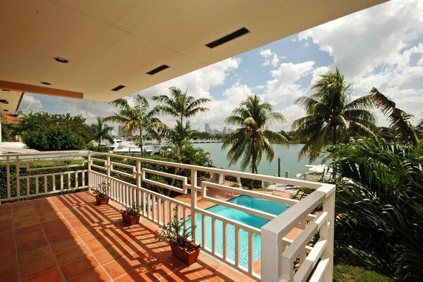 Interior swimming pool nature resort palm trees recreation