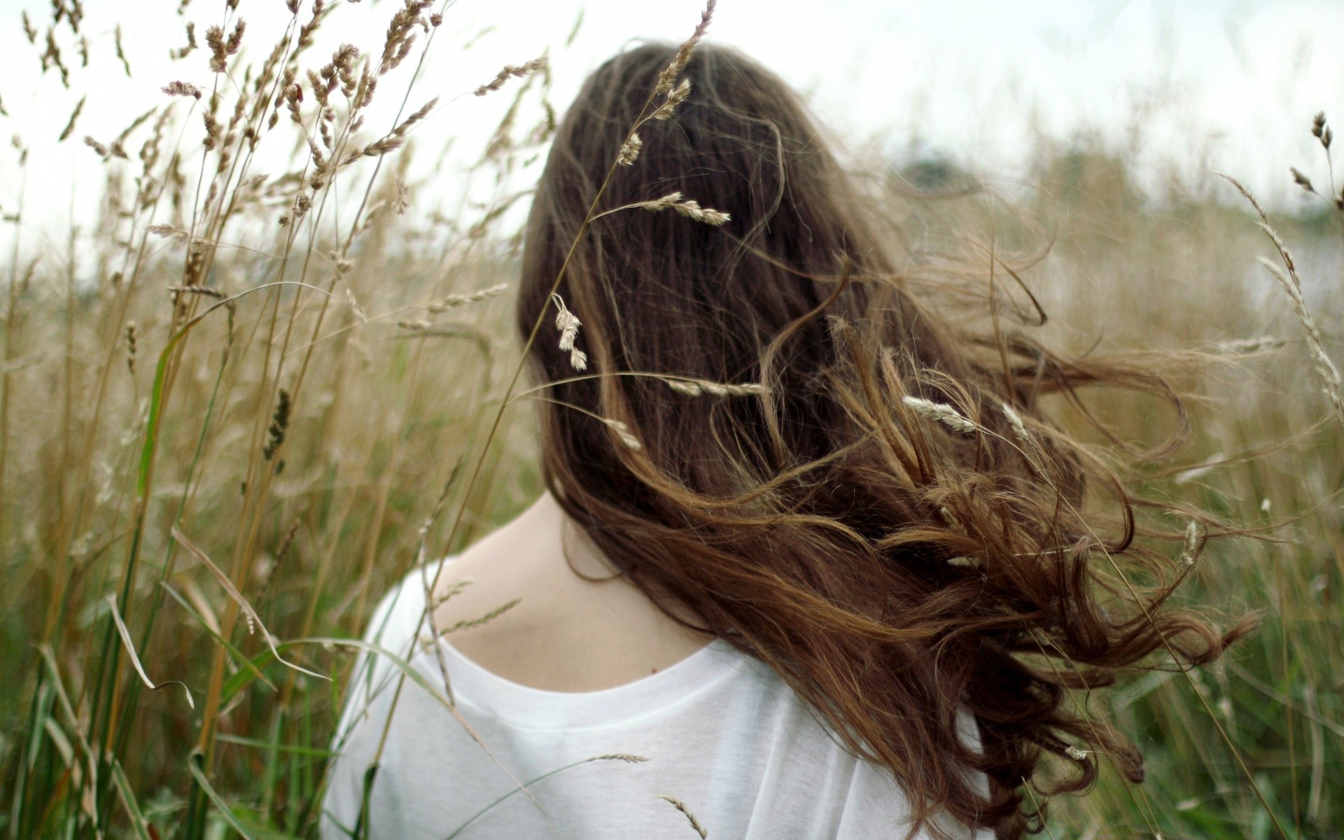 autres filles nature herbe champ belle cheveux fille été portrait à l extérieur soleil automne femme visage foin vent sourire beau temps