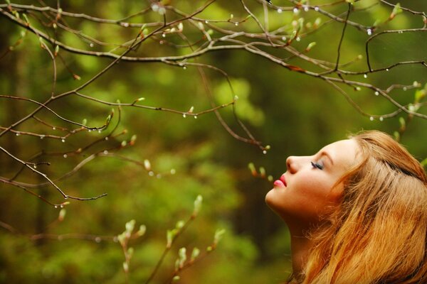 Photography in the spring forest