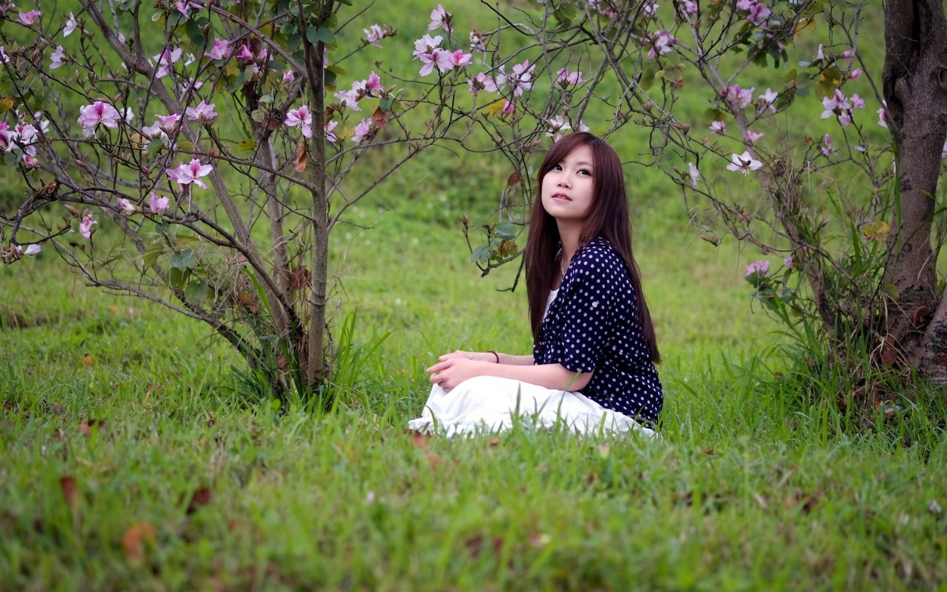 otras chicas naturaleza parque hierba al aire libre flor verano árbol heno hermoso campo chica relajación exterior jardín campo buen tiempo madera