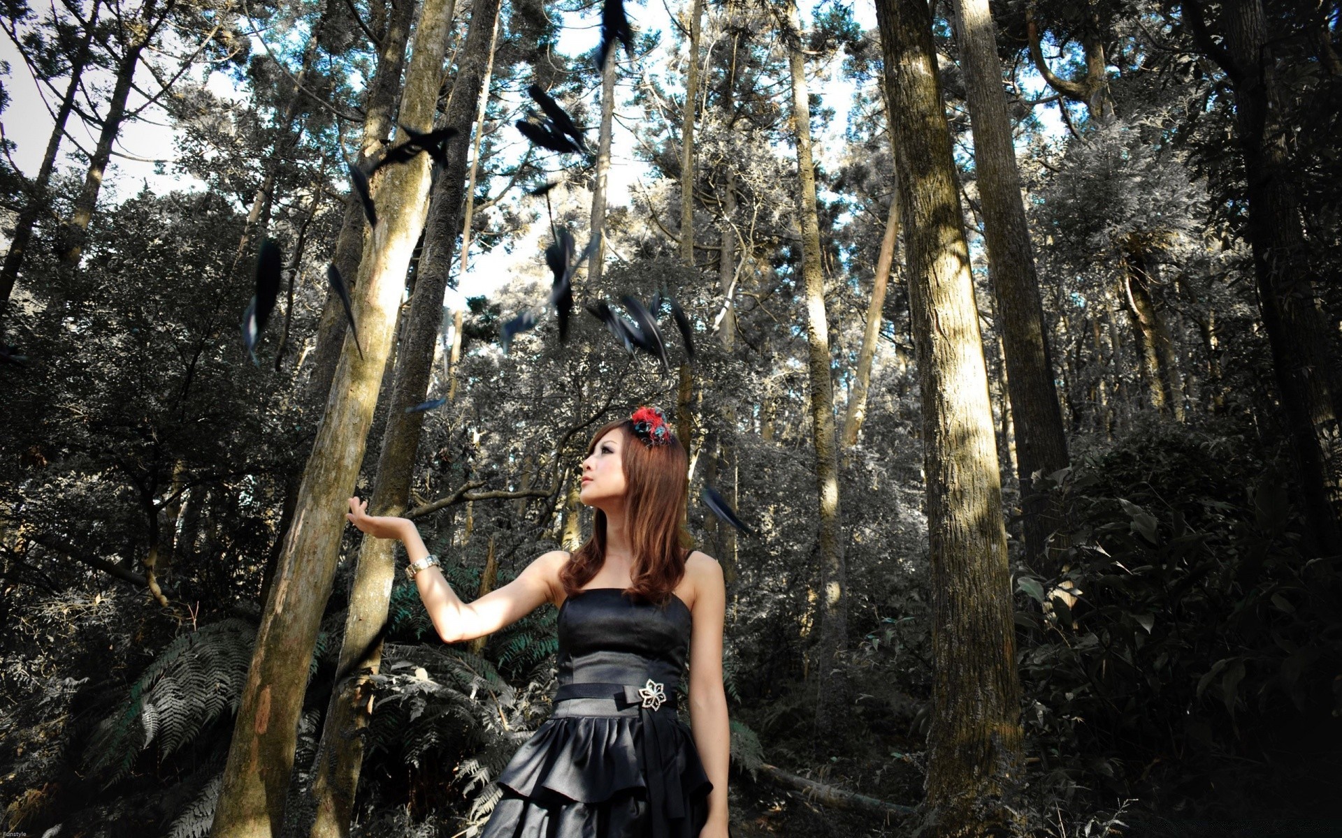 outras garotas árvore madeira natureza mulher menina parque ao ar livre bela adulto solteiro