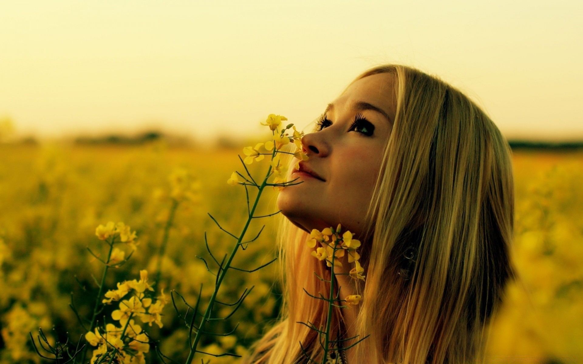 autres filles nature champ été soleil herbe beau temps femme coucher de soleil à l extérieur portrait fille fleur