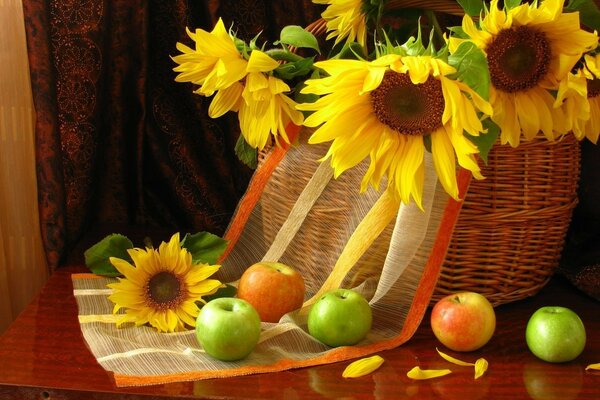 Still life of sunflowers in a basket and apples. Village