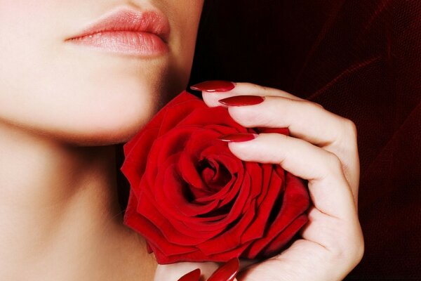 A girl with a red rose in her hands