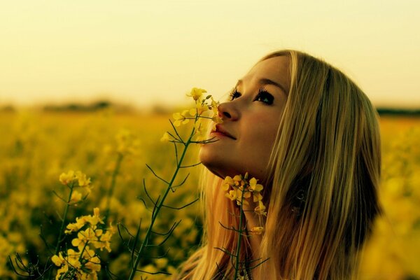 Fille sur la nature dans le champ avec des fleurs