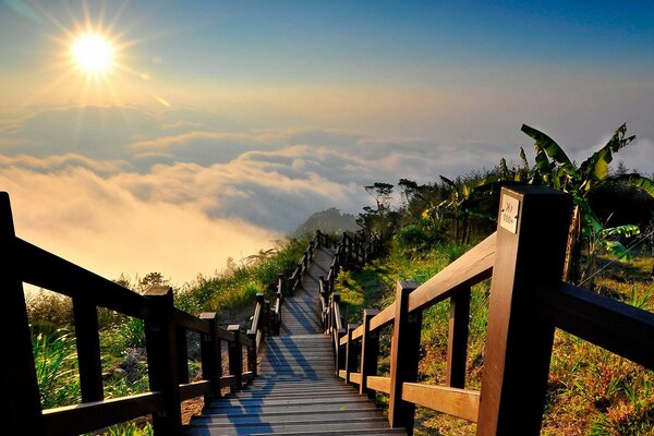 Escalier descendant vers les nuages au milieu de la verdure