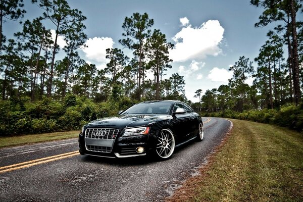 A black Audi car is driving along the road in the middle of the forest