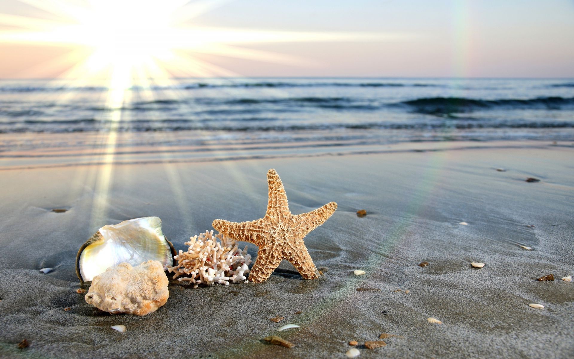 mare e oceano spiaggia acqua sabbia mare mare oceano natura estate viaggi sole tramonto spiaggia tropicale vacanza bel tempo surf cielo conchiglia onda