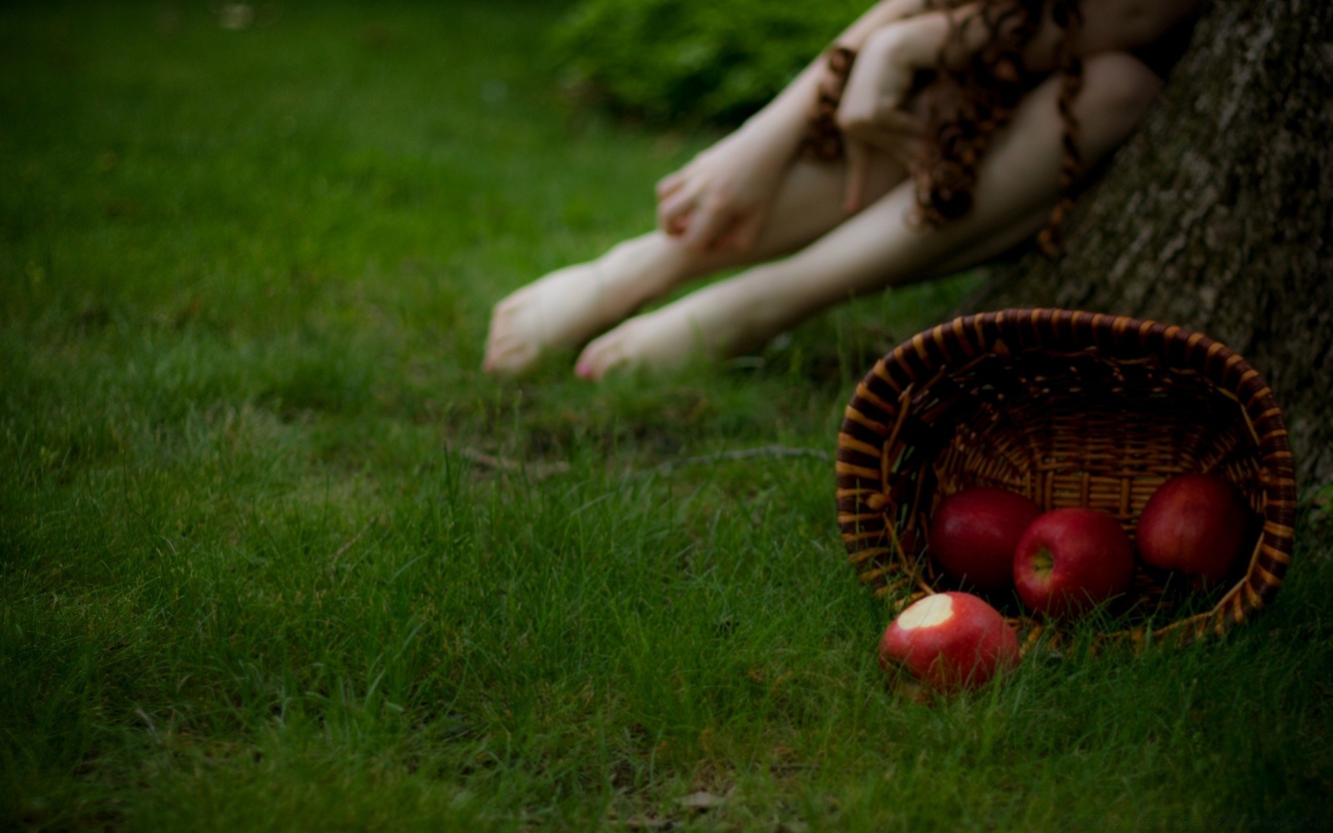 autres filles herbe nature été à l extérieur un bois jardin automne parc panier champ fille loisirs