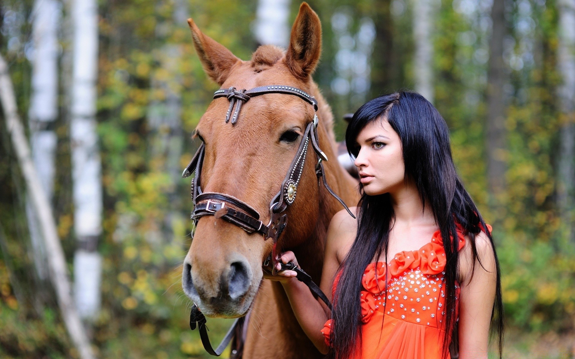 altre ragazze natura all aperto donna estate cavalleria ritratto tempo libero