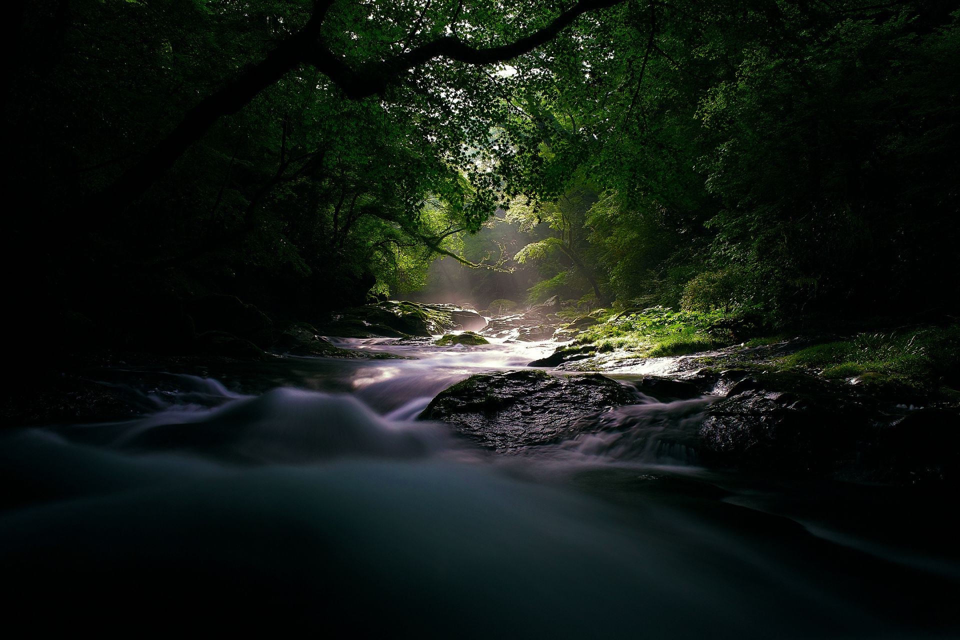 rivers ponds and streams water river landscape nature waterfall wood light tree