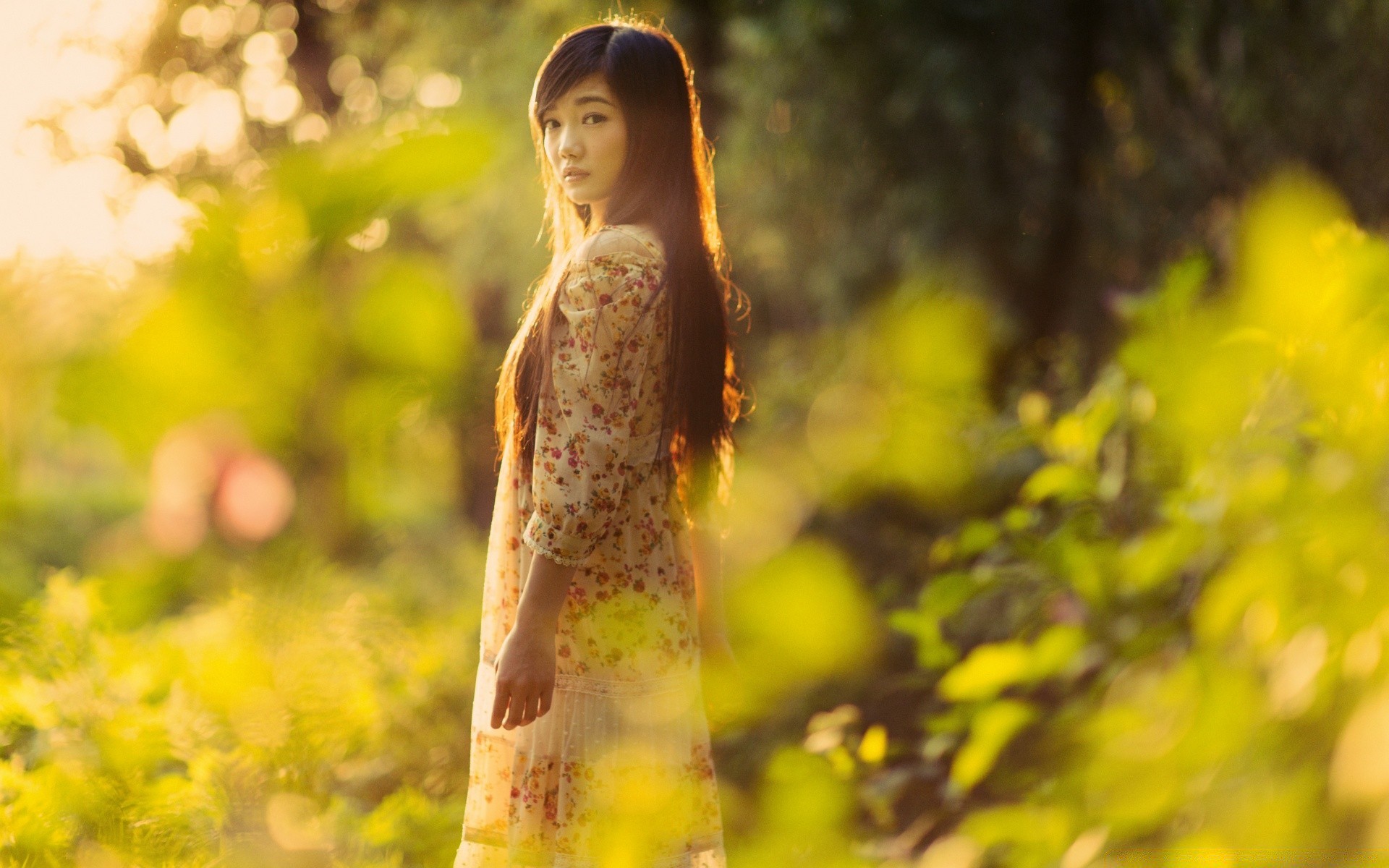 the other girls nature outdoors tree fall wood park leaf flower summer fair weather one beautiful girl grass woman relaxation