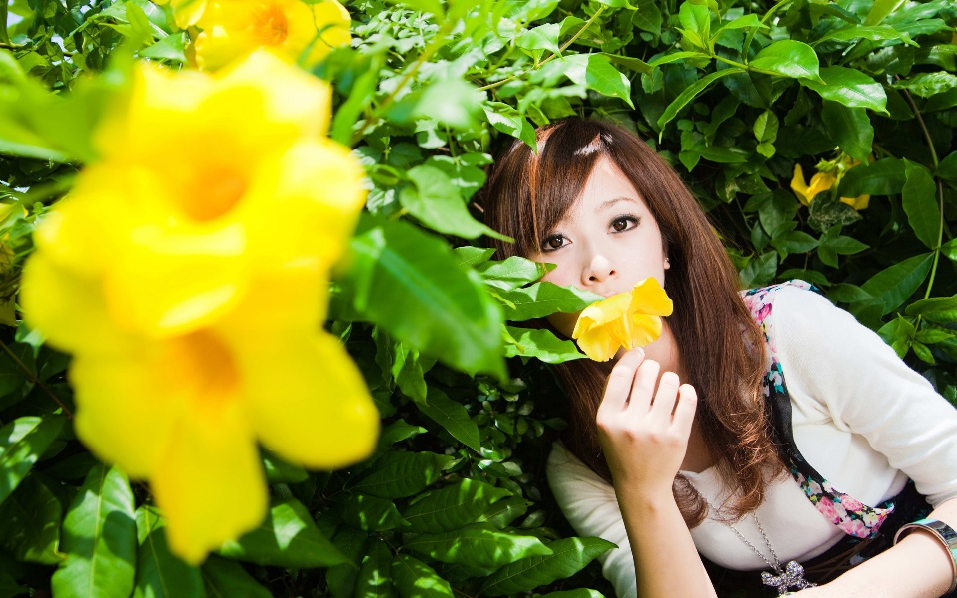 altre ragazze natura foglia fiore estate bella giardino ragazza flora parco donna albero erba all aperto