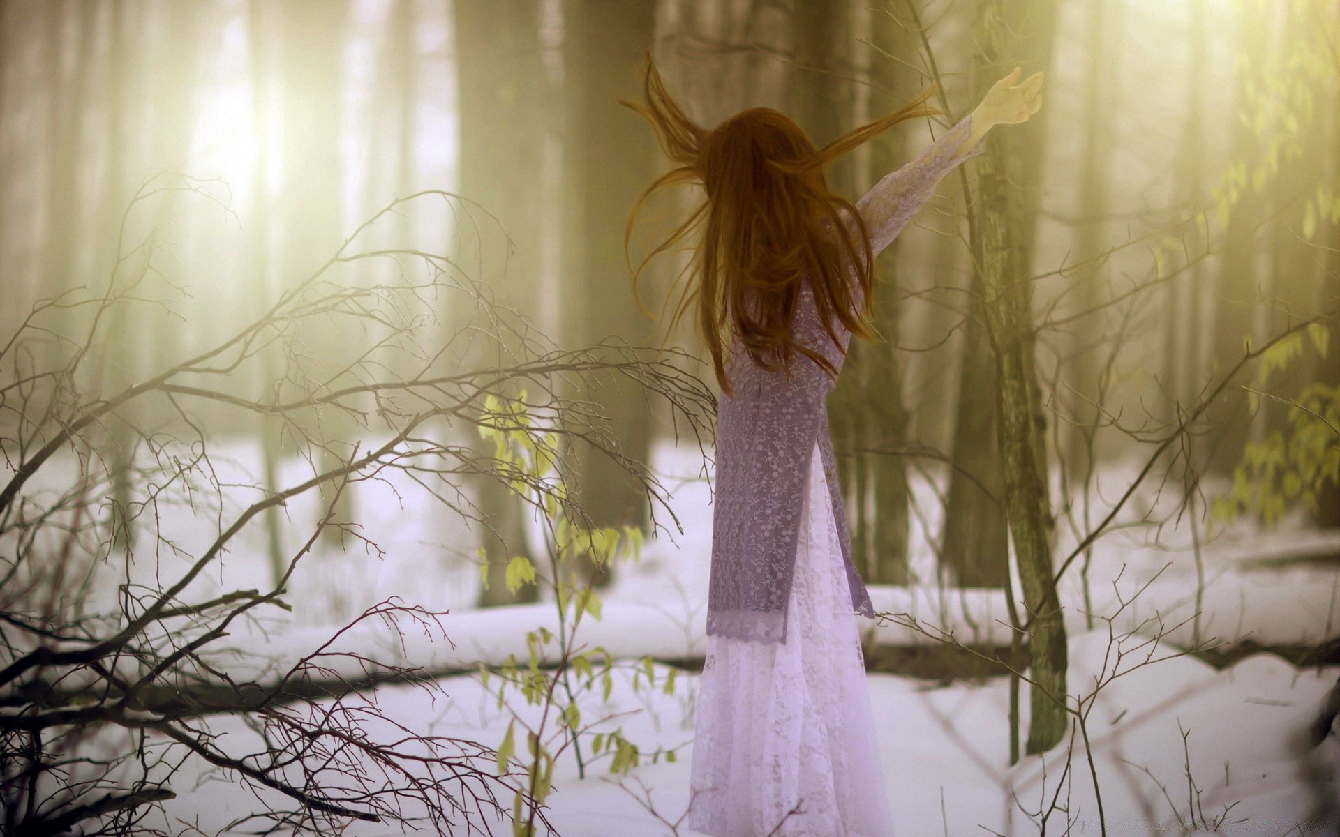 the other girls nature sun fair weather dawn wood grass landscape tree summer fall fog park outdoors field backlit beautiful sunset light leaf flower