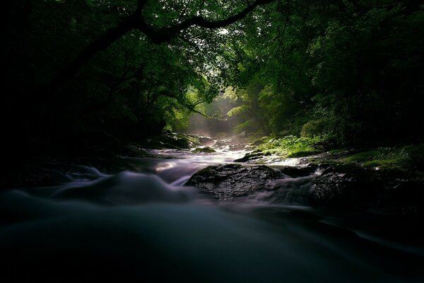 La hermosa naturaleza del río tormentoso