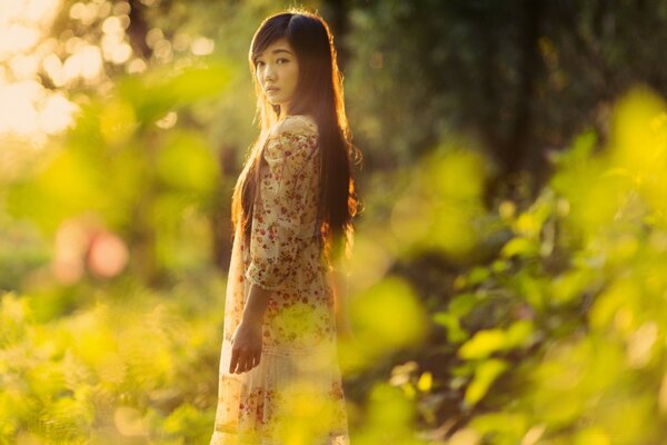 Chica con aspecto asiático en la hermosa naturaleza