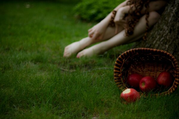 Manzanas rojas desmenuzadas sobre hierba verde