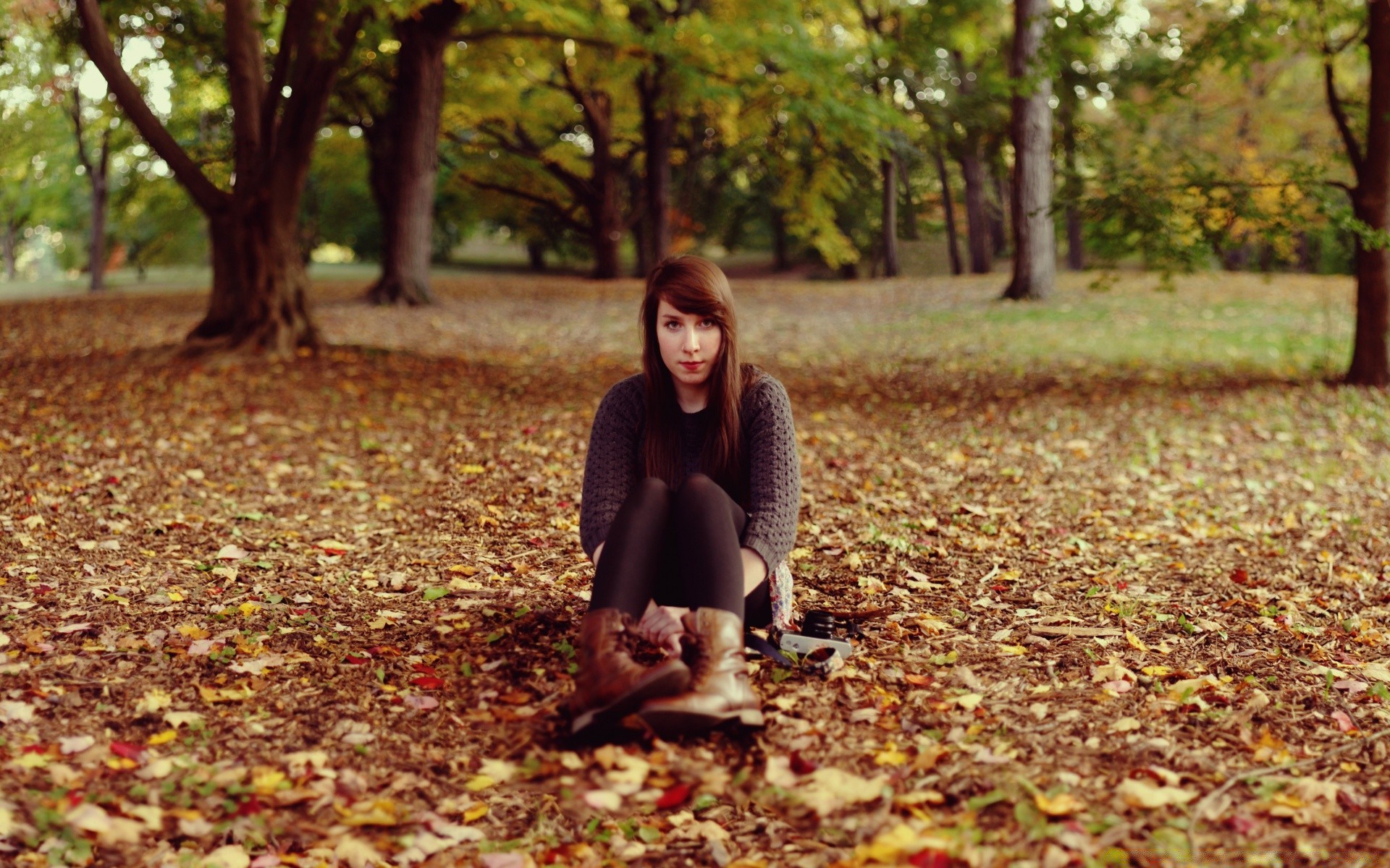 autre fille automne feuille nature parc fille bois bois à l extérieur érable paysage femme saison marche un or soleil beau temps