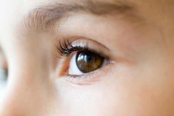 A child with brown eyes and long eyelashes