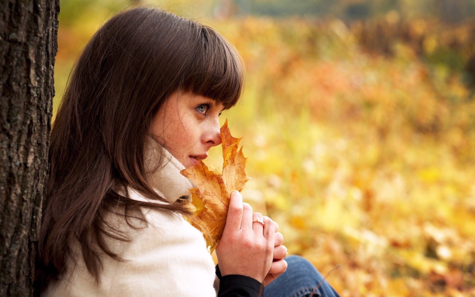 otras chicas otoño chica mujer naturaleza solo retrato hermosa sonrisa felicidad vacaciones adulto al aire libre lindo arce joven parque placer cabello bonita