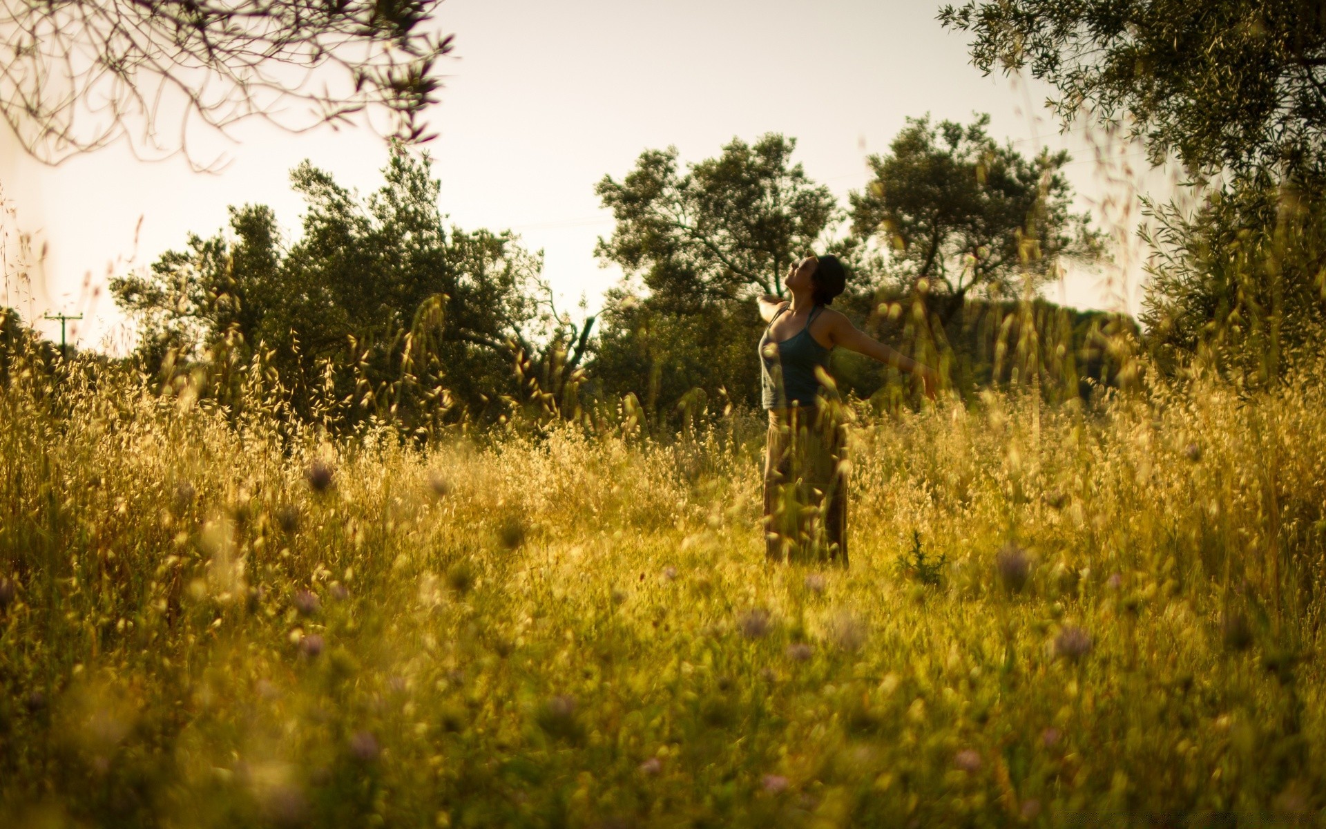 andere mädchen landschaft feld natur im freien baum heuhaufen gras bebautes land sommer landschaft umwelt himmel holz dämmerung sonnenuntergang park tageslicht ein ländlich gutes wetter