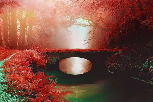 A bridge over a pond and red trees