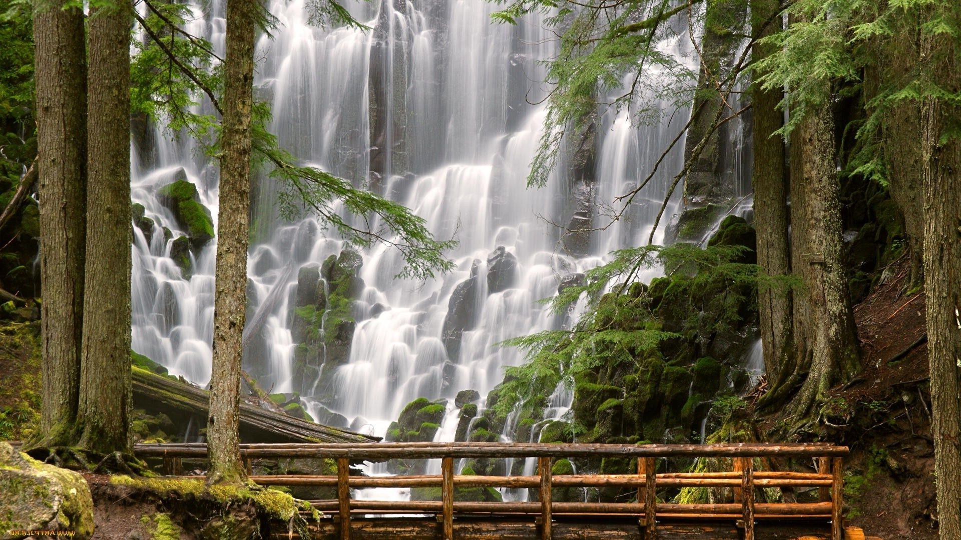 cascades nature bois eau cascade feuille automne été flore flux à l extérieur pierre humide paysage arbre parc cascade tropical rivière mousse