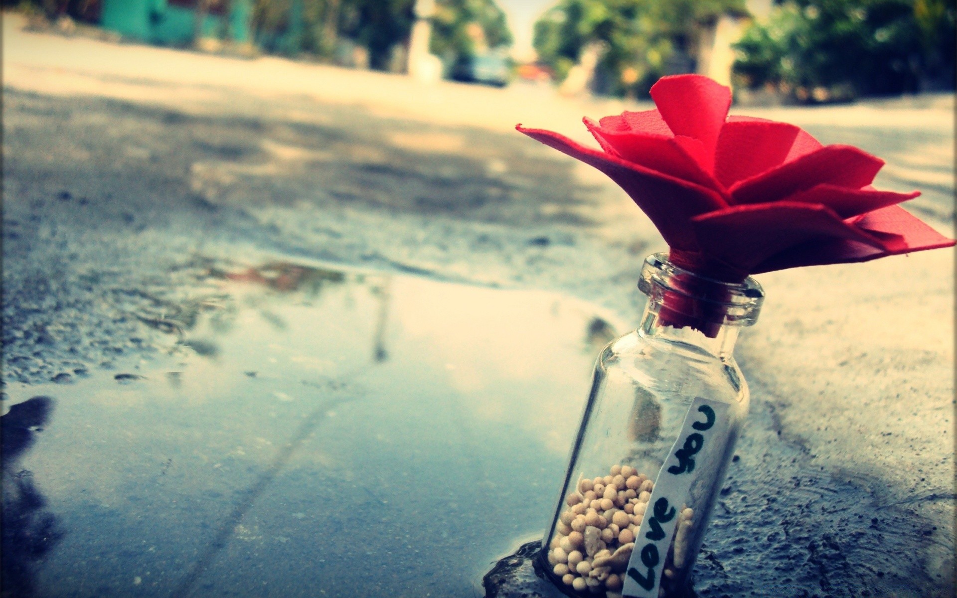 hearts water nature outdoors beach travel summer fair weather