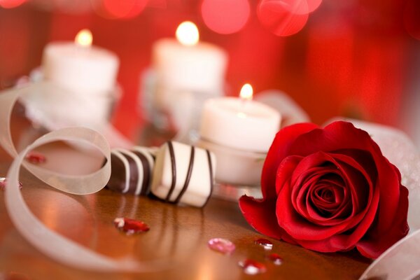 Roses and white candles romance