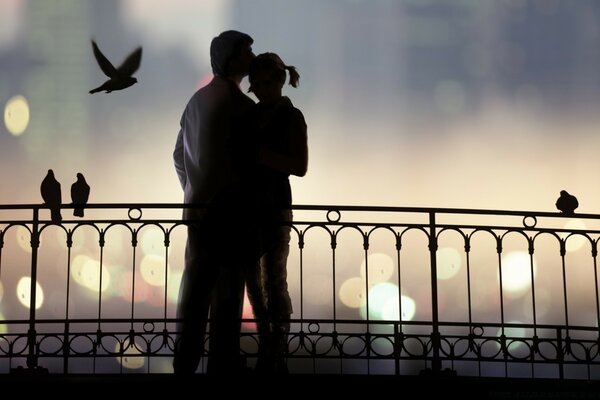 Couple d amour sur le pont et les oiseaux