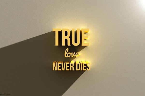 True love never dies_05_nithinsuren