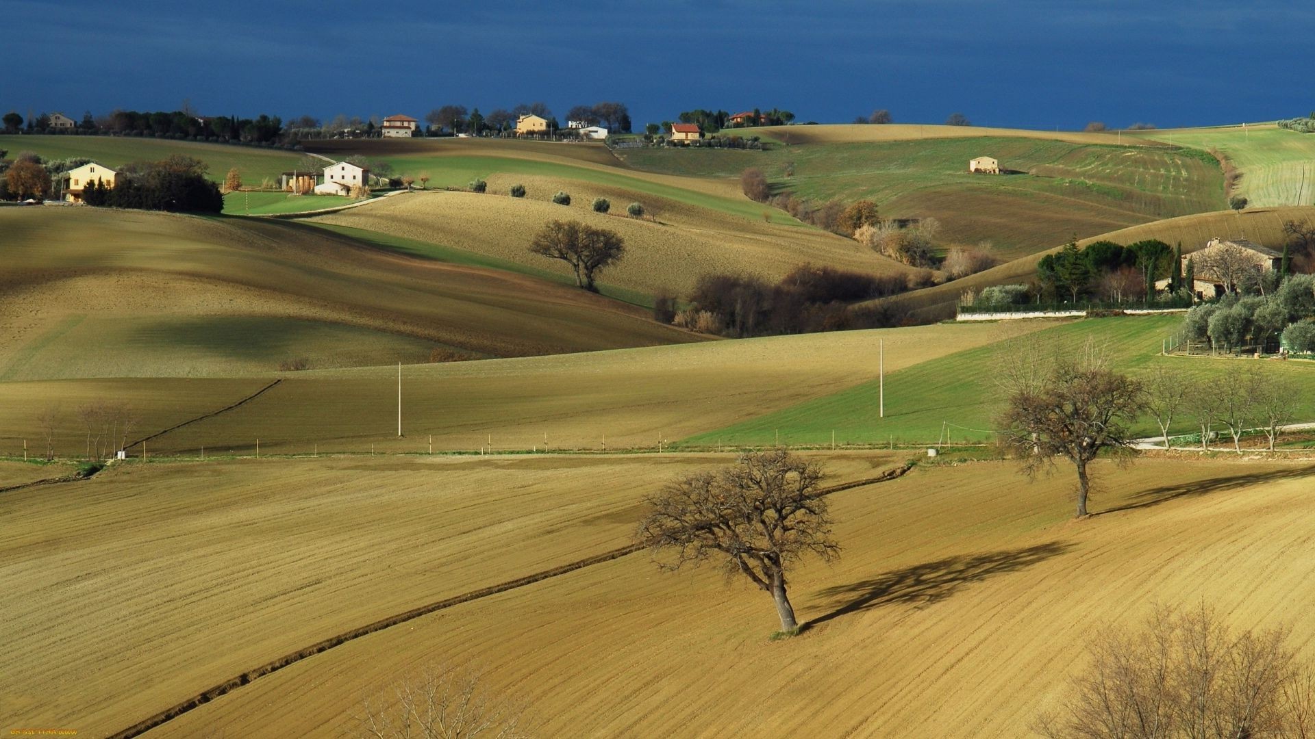 landschaft landschaft bebautes land landwirtschaft natur im freien pastorale landschaft baum hügel gras zypresse ländliche tageslicht himmel bauernhof reisen feld landschaftlich