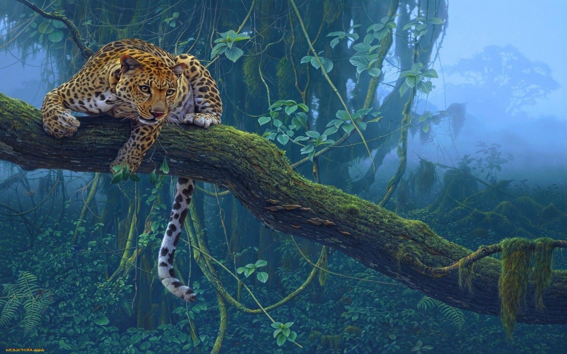 leopardos debaixo d água vida selvagem água natureza peixes natação animal meio ambiente ao ar livre predador selvagem tropical exóticas