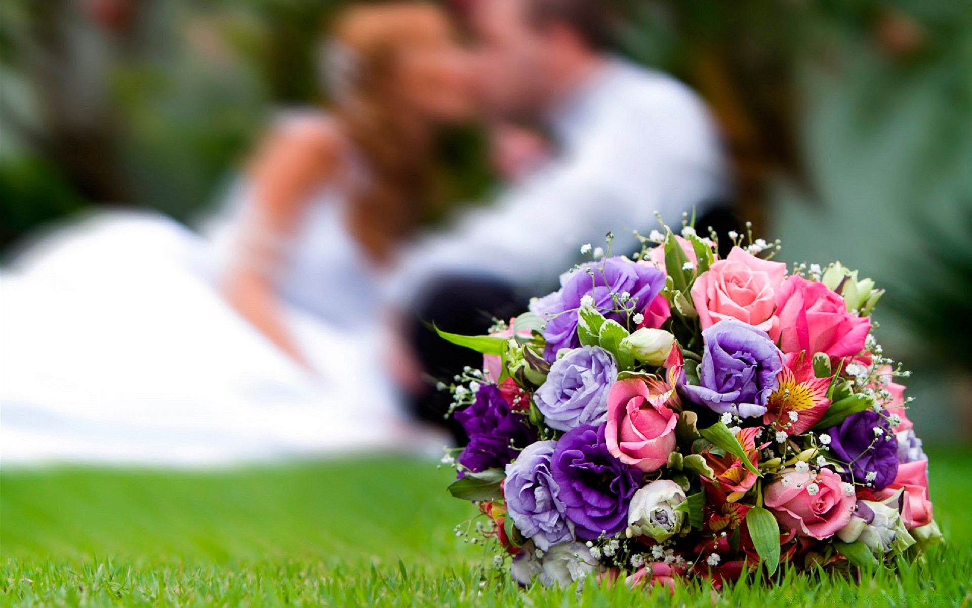 coeurs fleur nature jardin été mariage rose bouquet herbe amour à l extérieur feuille vacances couleur flore