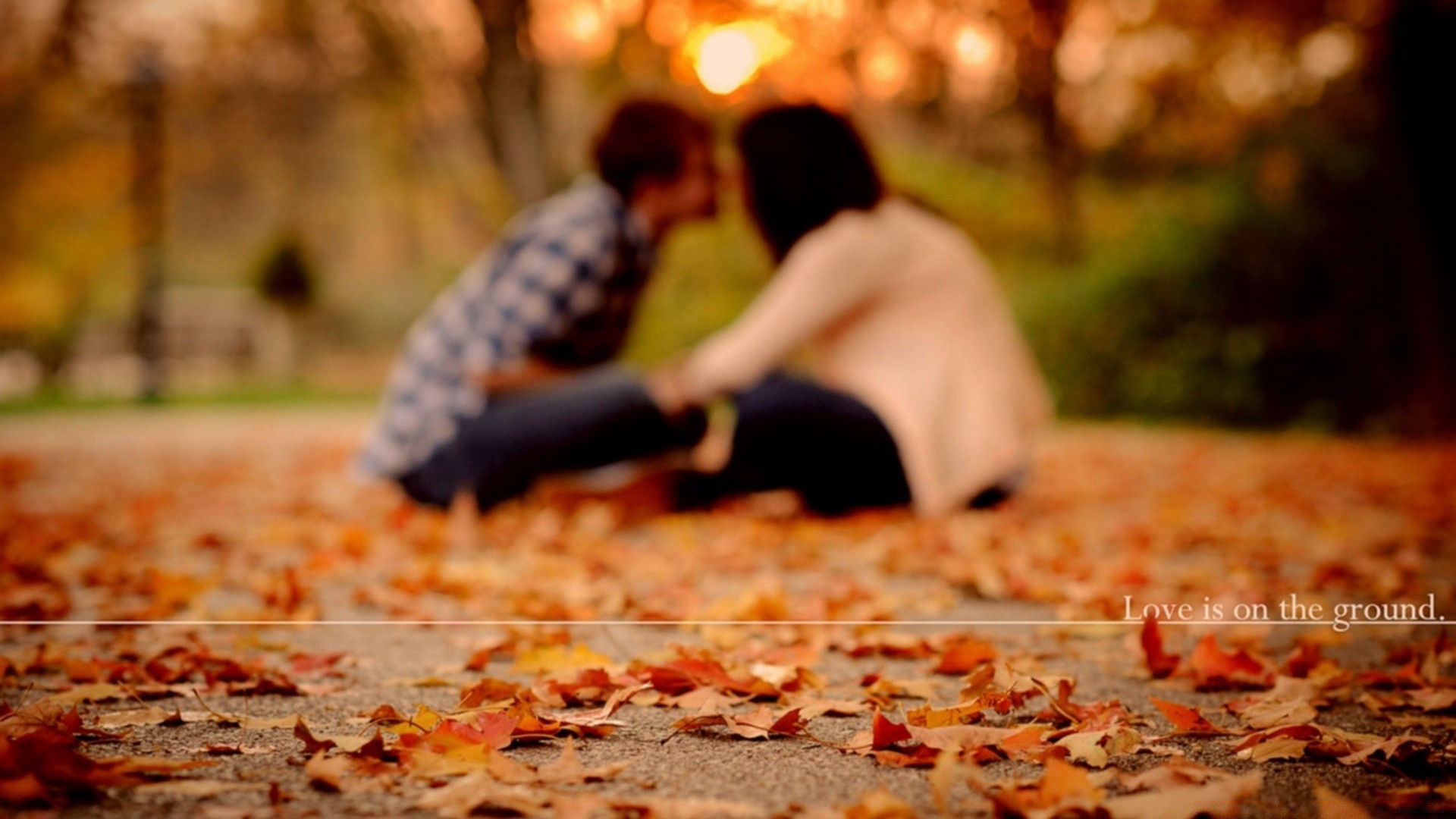 cuori donna adulto da solo all aperto autunno natura sfocatura ragazza tempo libero tempo libero