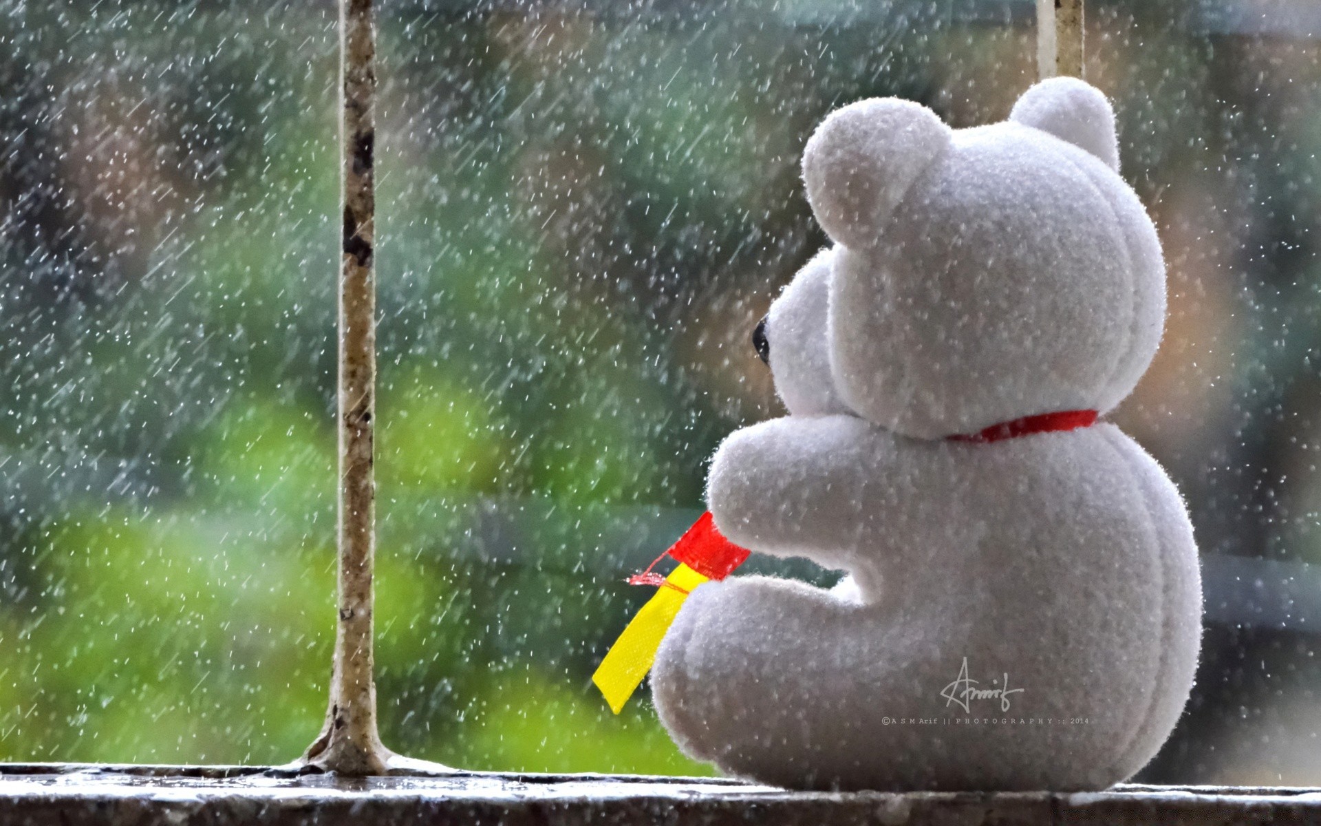 corazones naturaleza invierno al aire libre escritorio navidad nieve frío escarcha agua