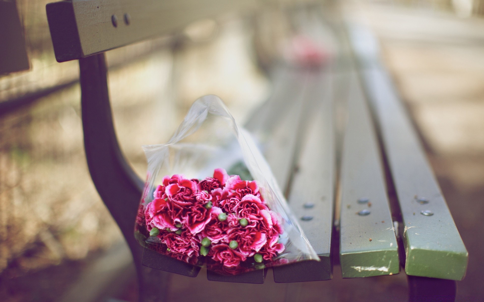 corações casamento flor amor romance rosa ainda vida madeira cor presente decoração feriado romântico