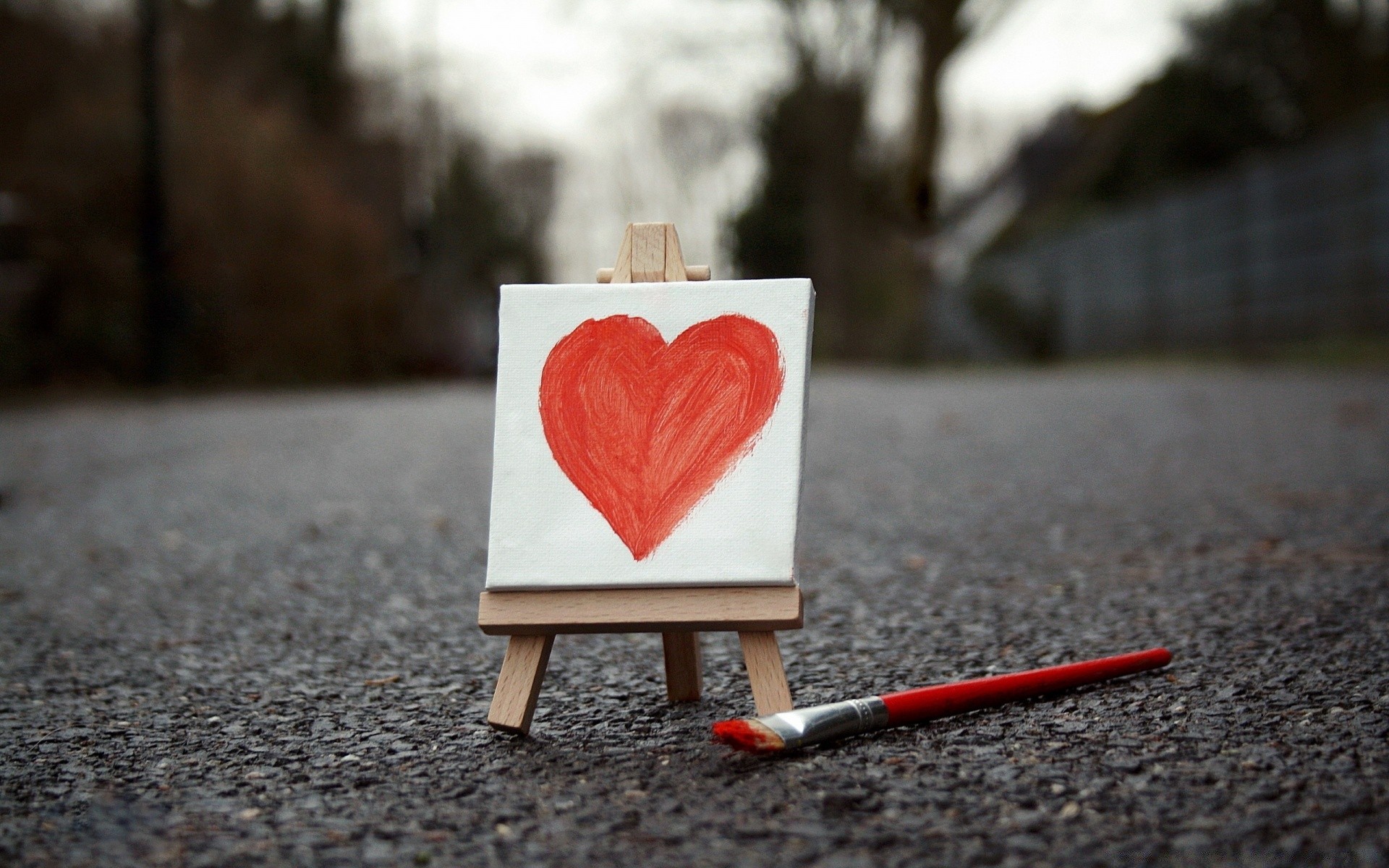 hearts love heart wood romance wedding outdoors