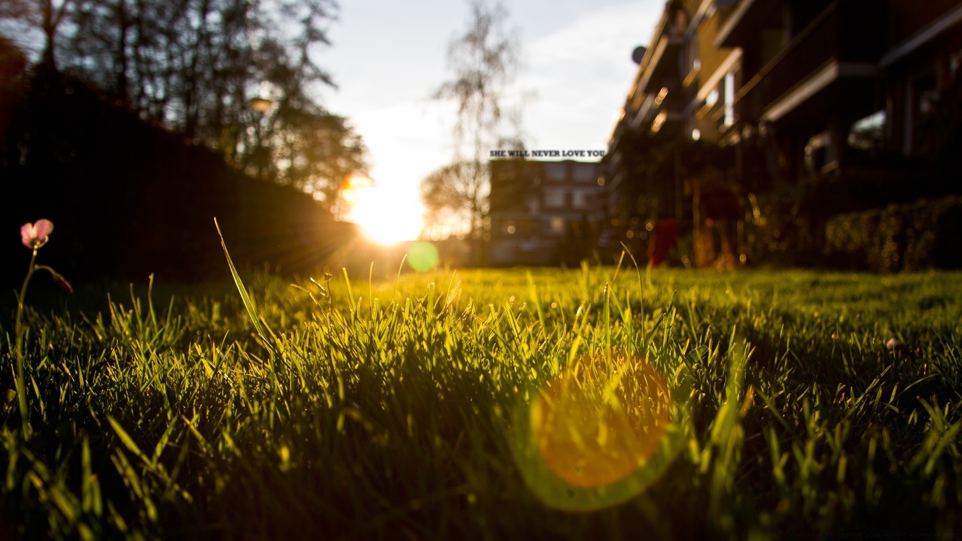 herzen natur gras feld sonne sonnenuntergang landschaft im freien gutes wetter dämmerung des ländlichen licht sommer heuhaufen landschaft bauernhof abend himmel