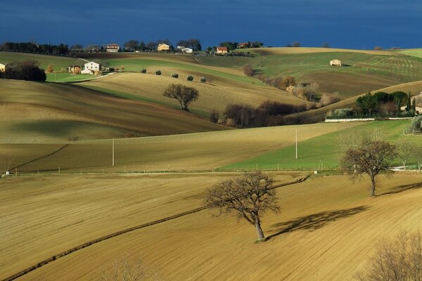 Beautiful landscape of the nature of cultivated land in agriculture