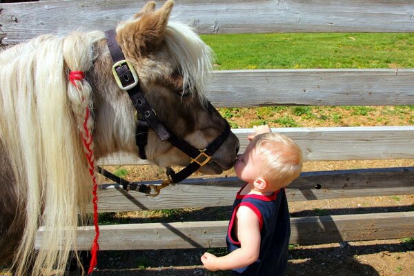 Bambino carino accanto al cavallo