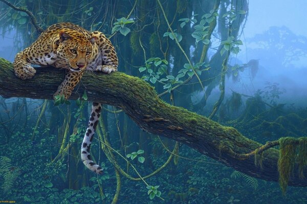 Leopardo sentado en un árbol en la selva