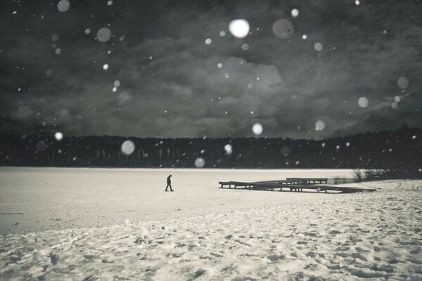 Winter beach in the snow