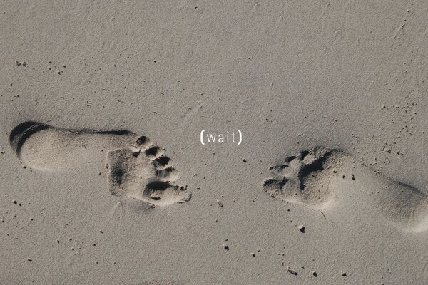 Spuren im Sand am Meer