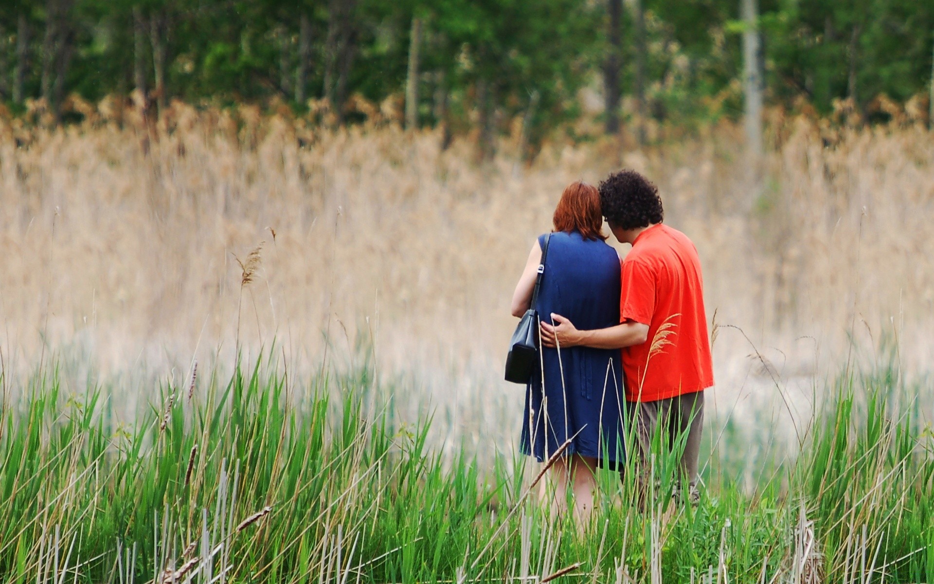 coeurs nature herbe en plein air champ été foin parc campagne paysage fille