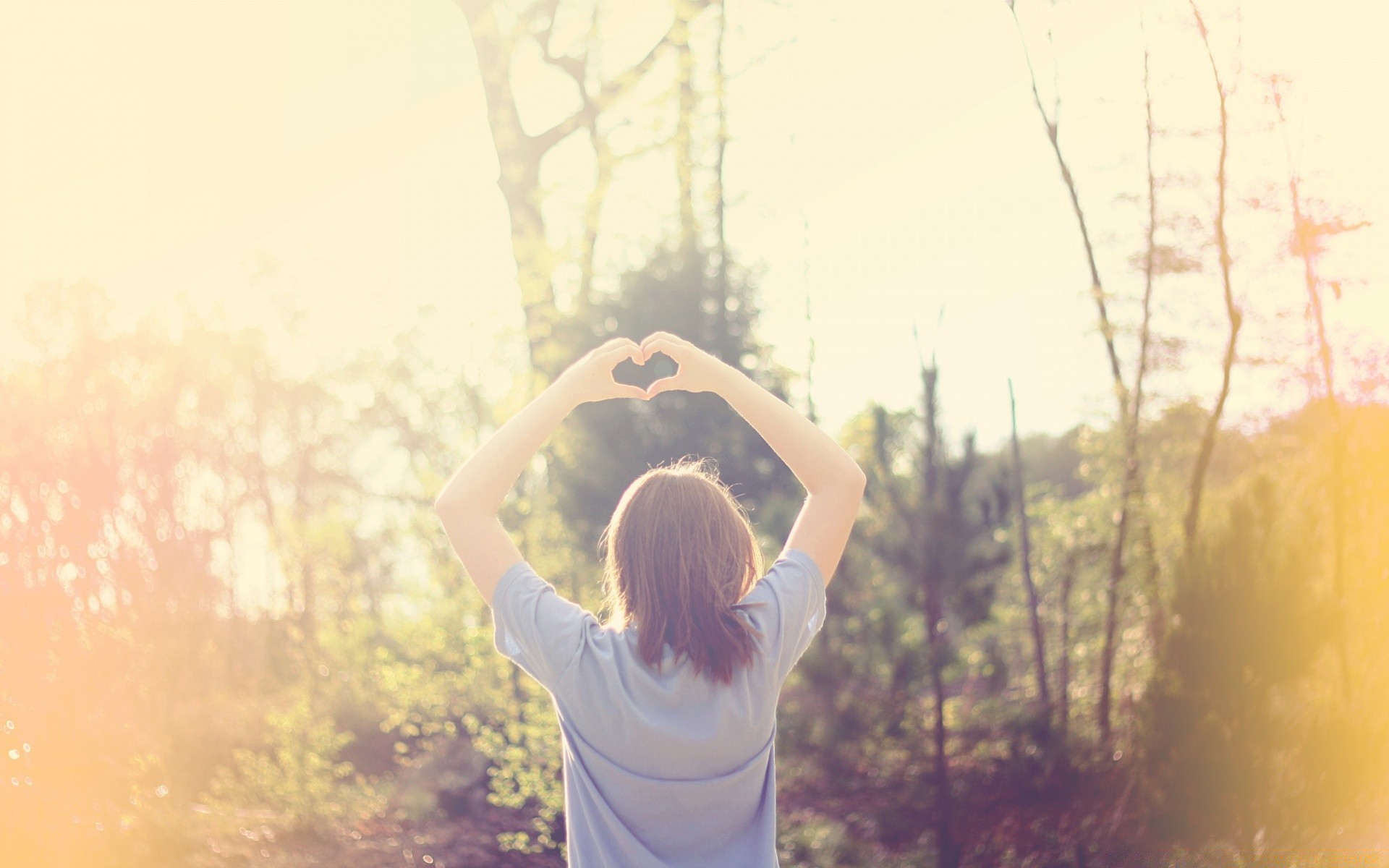 hearts girl outdoors nature portrait woman park adult one backlit happiness child fun fair weather dawn lifestyle tree light summer leisure