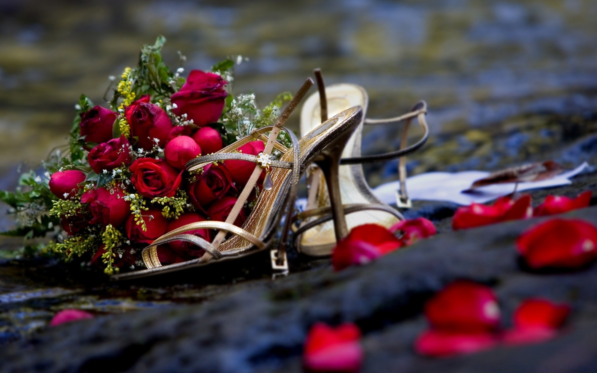 herzen blume im freien natur wasser garten stillleben hochzeit reisen farbe