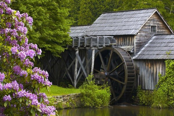 Eine Seitenmühle rund um die Berge