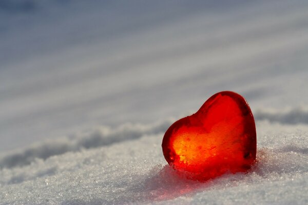 Corazón escarlata en la nieve blanca y fría