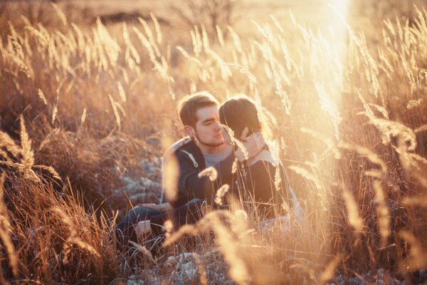 Amantes adultos al aire libre en trigo